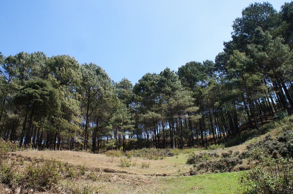 Hotel Mount Paradise Nagarkot Kültér fotó